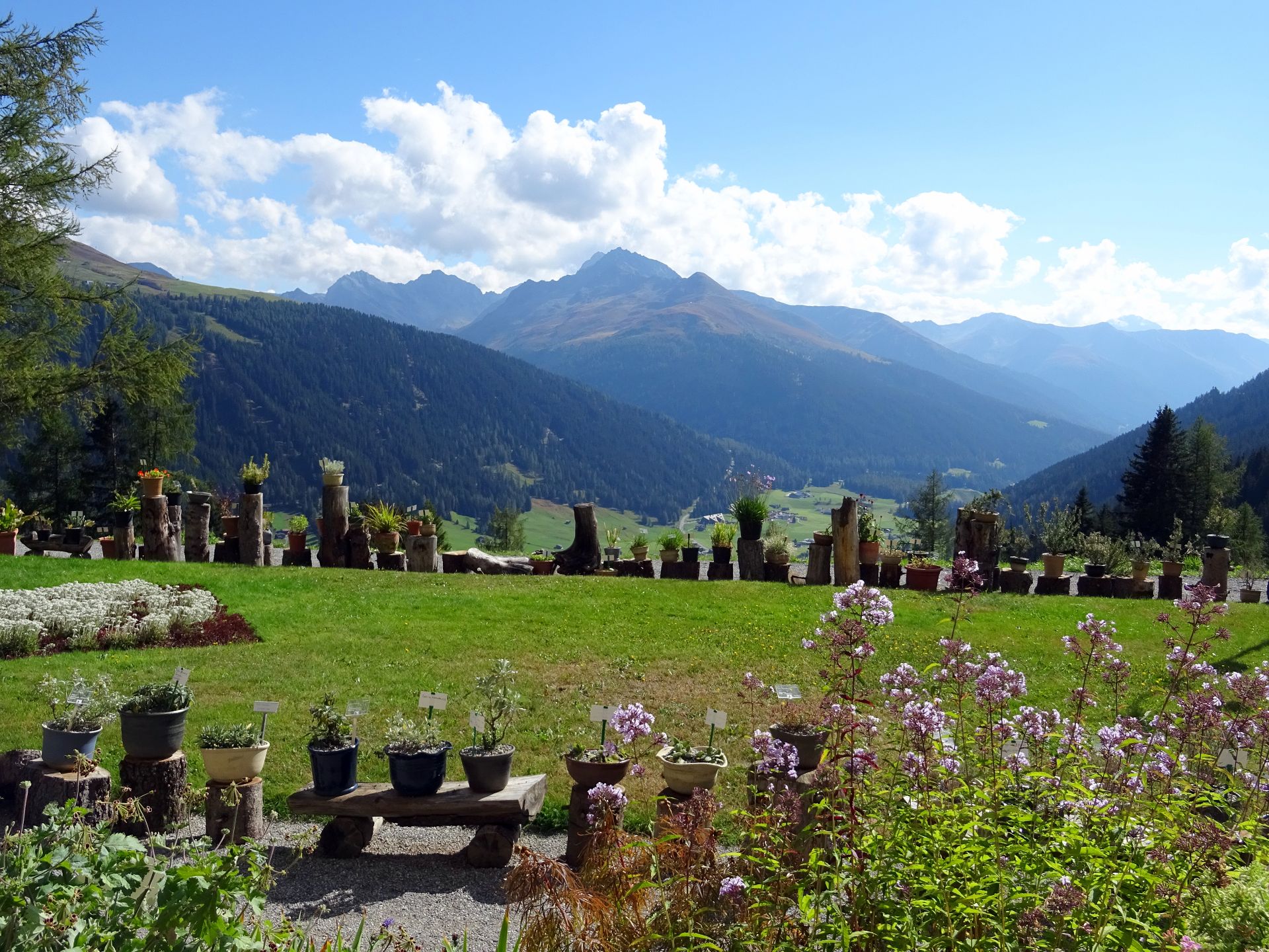 Davos